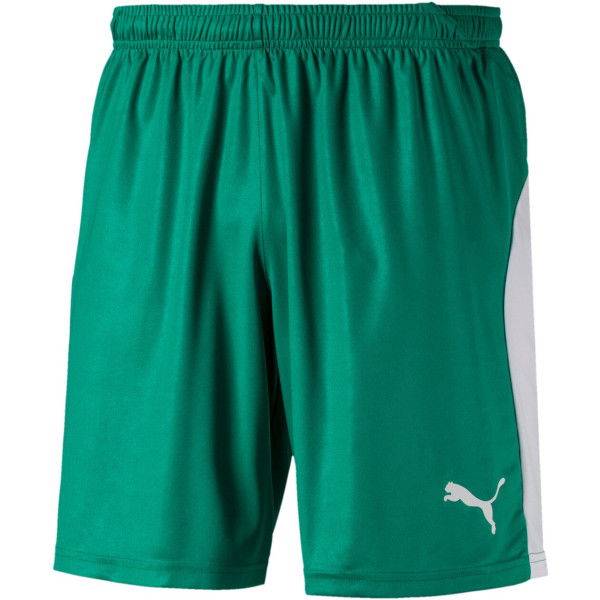 HERREN FUSSBALLSHORTS LIGA SHORTS (703431-005-)