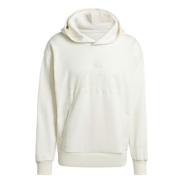 HERREN HOODIE M A SZN G HD (IY6594)