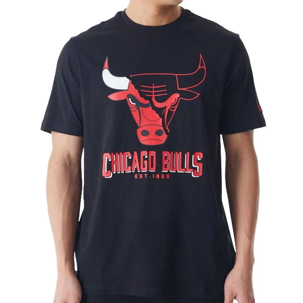 HERREN T-SHIRT NBA LOGO GRAPHIC TEE CHIBUL (60578584)