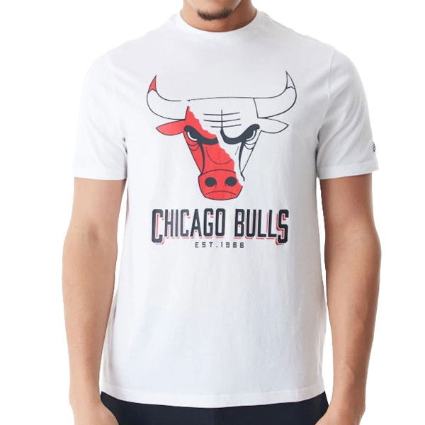 HERREN T-SHIRT NBA LOGO GRAPHIC TEE CHIBUL (60578585)